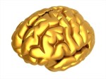 Gold Brain image