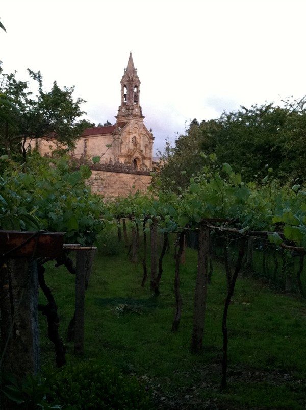 Church and Vines in Gondomar, Spain. May 2012. Church and Vines in Gondomar, Spain